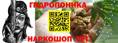 ГАЛЛЮЦИНОГЕННЫЕ ГРИБЫ Мариинск