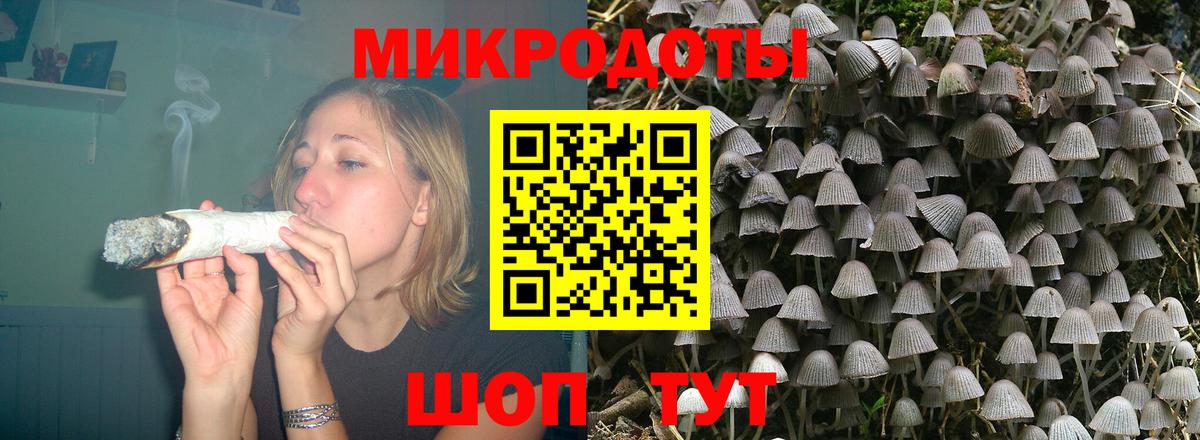 Галлюциногенные грибы Psilocybe Чистополь